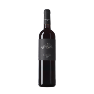 Vi negre Cecilio 2023 Priorat